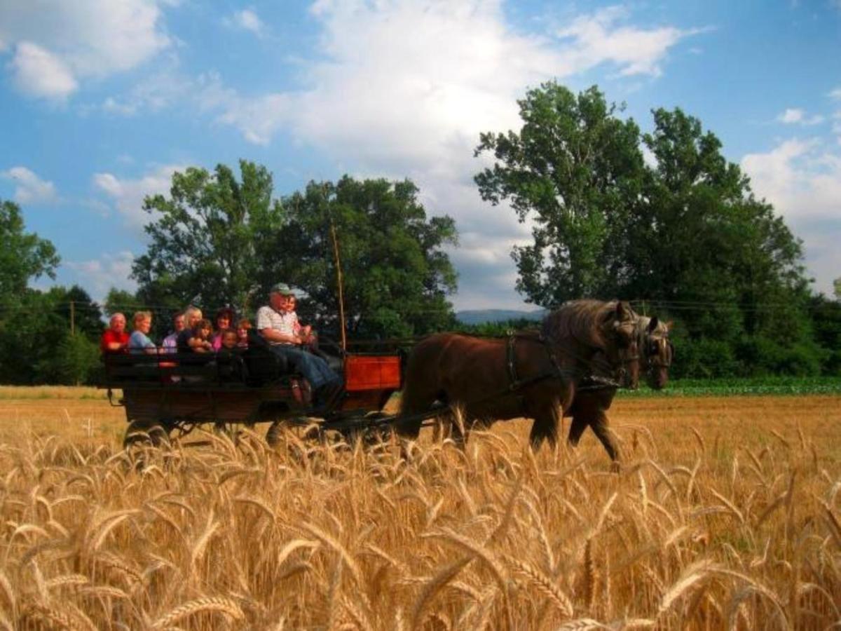 Ferienwohnungen Maierhof Oberried โอเบอร์รีด ภายนอก รูปภาพ