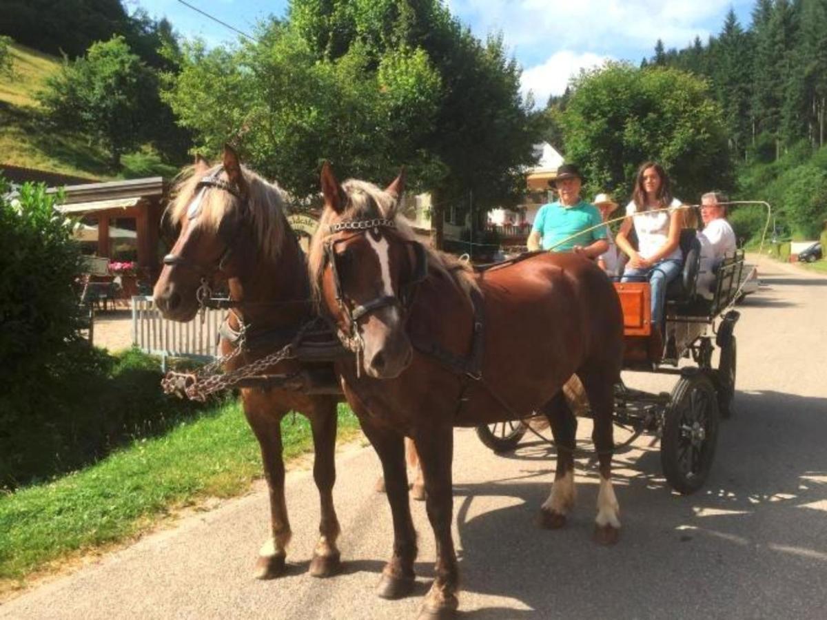 Ferienwohnungen Maierhof Oberried โอเบอร์รีด ภายนอก รูปภาพ