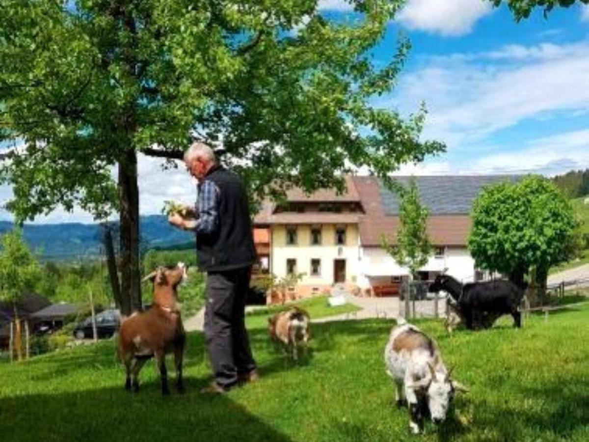 Ferienwohnungen Maierhof Oberried โอเบอร์รีด ภายนอก รูปภาพ