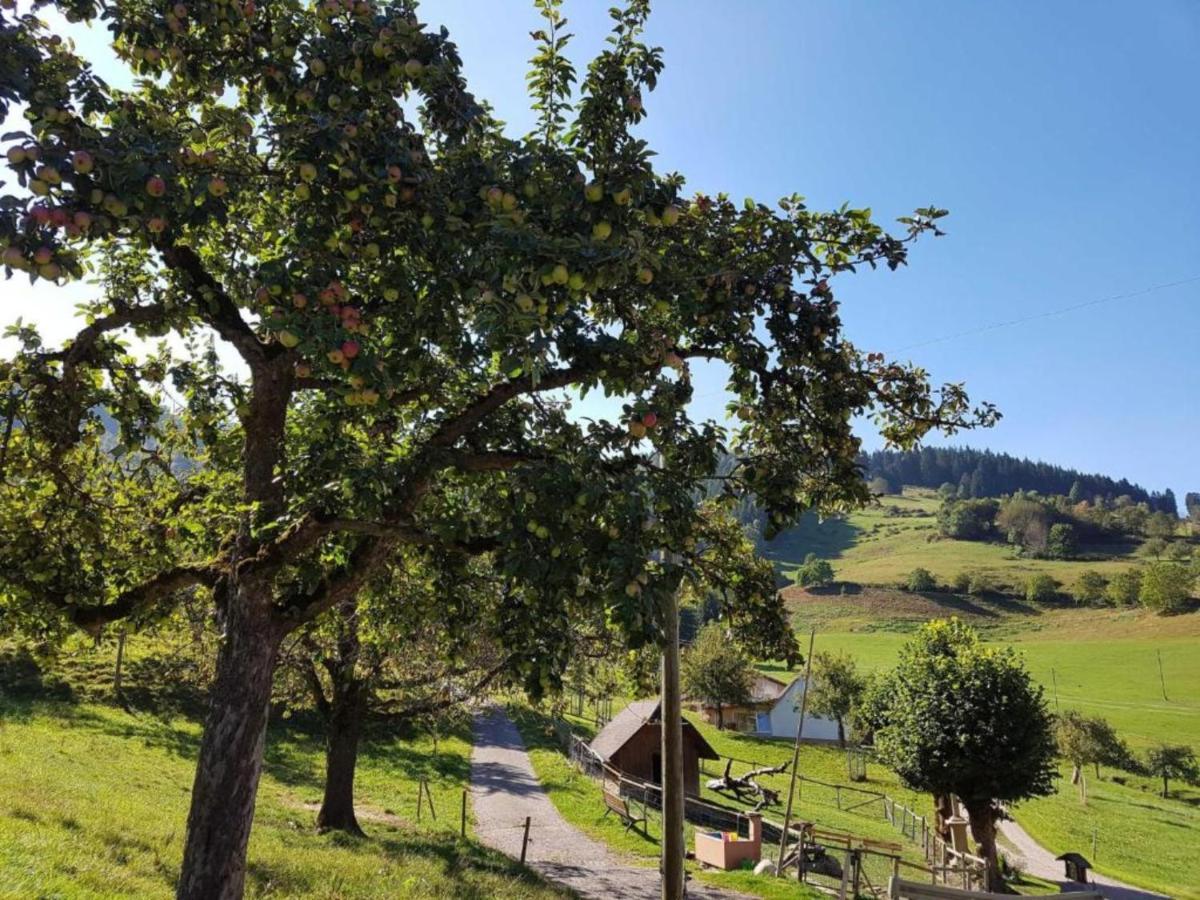Ferienwohnungen Maierhof Oberried โอเบอร์รีด ภายนอก รูปภาพ
