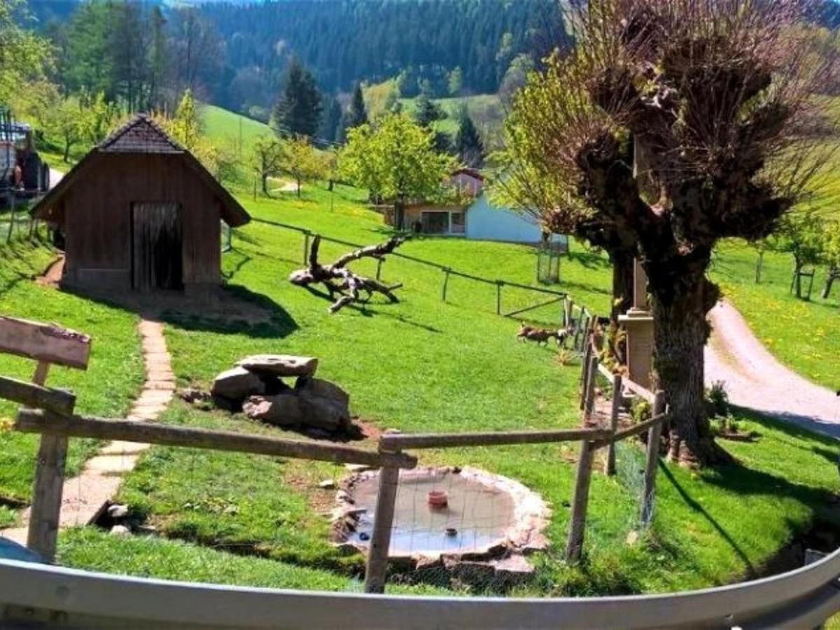 Ferienwohnungen Maierhof Oberried โอเบอร์รีด ภายนอก รูปภาพ