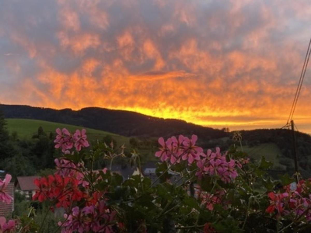 Ferienwohnungen Maierhof Oberried โอเบอร์รีด ภายนอก รูปภาพ