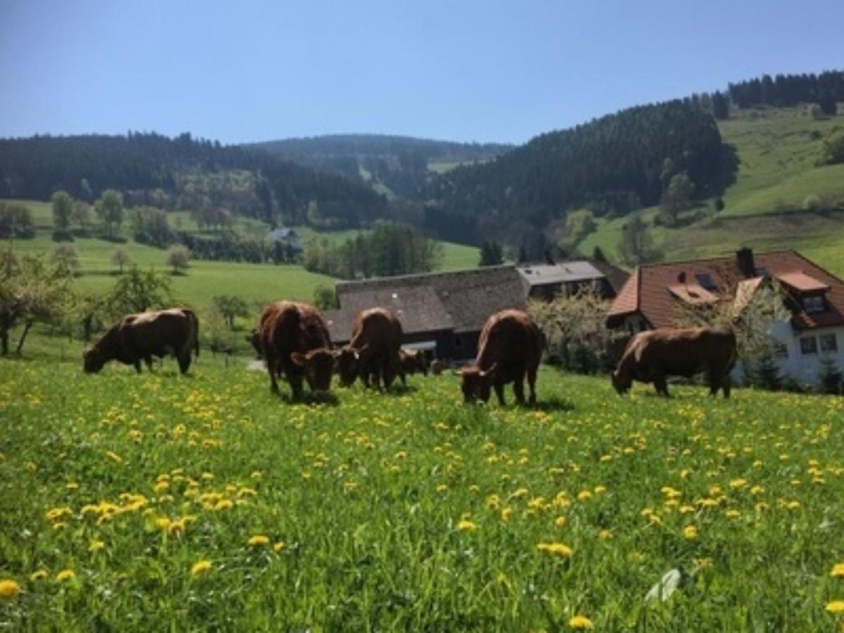 Ferienwohnungen Maierhof Oberried โอเบอร์รีด ภายนอก รูปภาพ